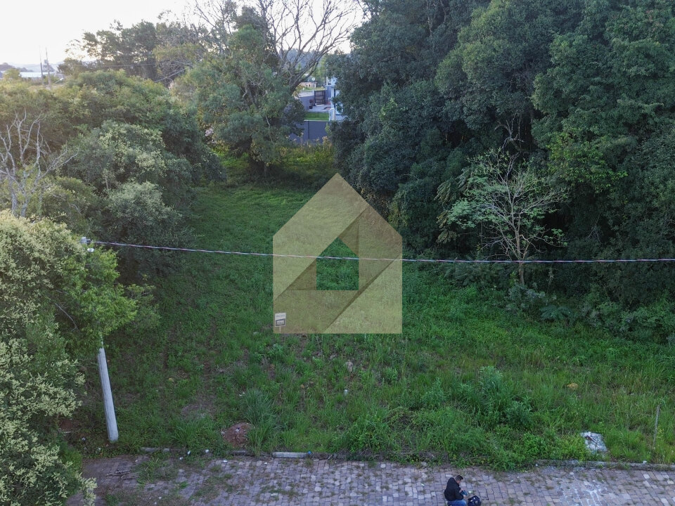 Terrenos 